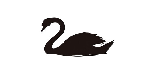 A black and white swan is laying on its back © AnnAza