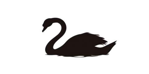 A black and white swan is laying on its back