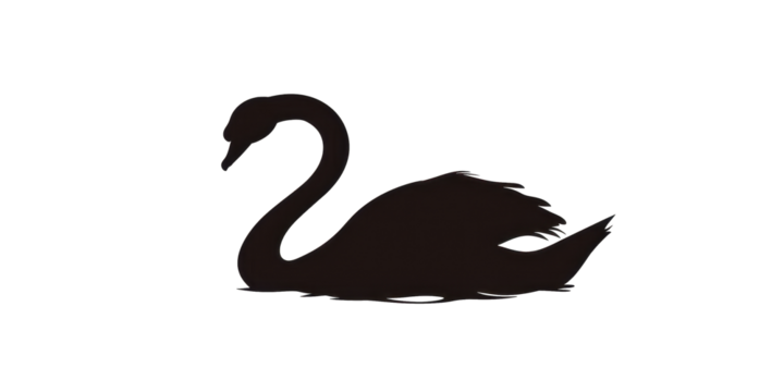 A black and white swan is laying on its back