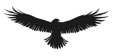 Naklejka premium A black bird with its wings spread out