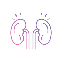 Kidney vector icon stock illustration