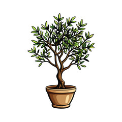 A realistic potted olive tree with slender branches and green leaves.