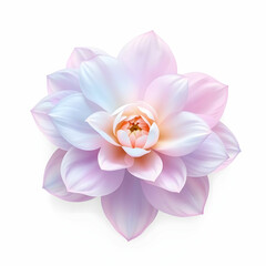 Obraz premium Abstract image of a flower in soft pastel colors