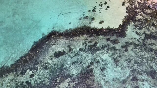 Emerald Sea Waters Swaying Gently Near the Beach