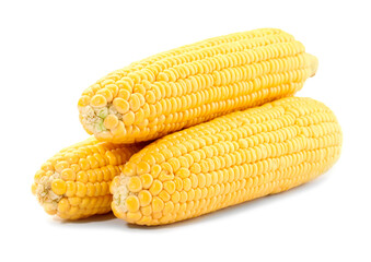 Three fresh ripe corncobs isolated on white