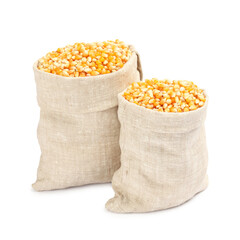 Fresh corn kernels in burlap sacks isolated on white
