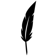 Obraz premium Feather illustration vector