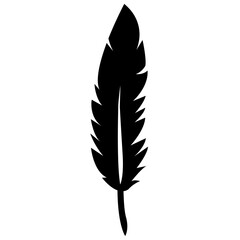 Feather illustration vector