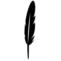 Feather illustration vector