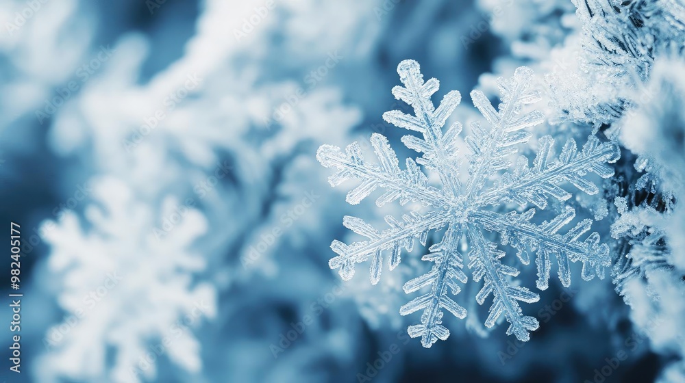 Poster close-up of intricate snowflakes showcasing delicate patterns and textures in a frosty blue environm