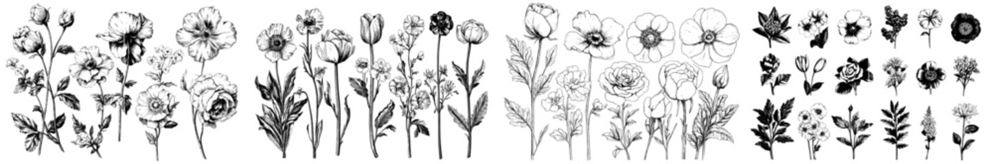 The big set of flowers from a Victorian garden. A classic botanical illustration in black and white.