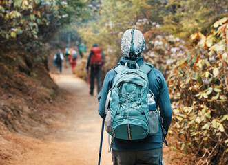 Back view of group friends hiking with backpacks along mountain path through beautiful forest during trek in Himalayas, Nepal