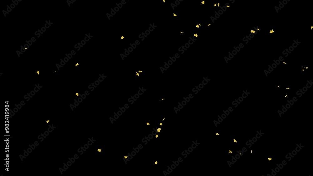 Wall mural maple leaves falling on alpha channel. maple fall in a seamless loop place on footage or background 