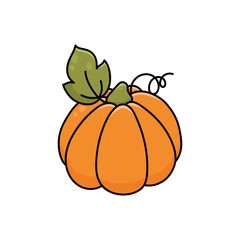 Cute pumpkin. Autumn vegetable. Halloween and Thanksgiving symbol or decor. Vector illustration on white background