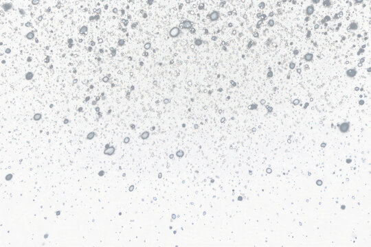 PNG A falling snow background night black.