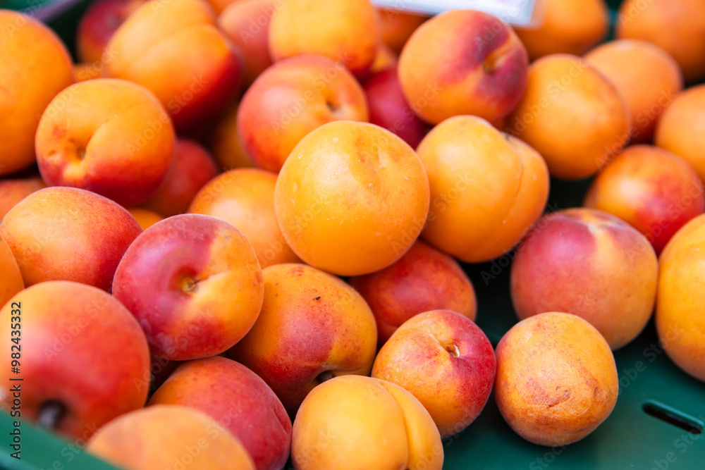 Wall mural closeup of vibrant orange ripe and fresh apricots heap displayed at the local farm market. smooth te