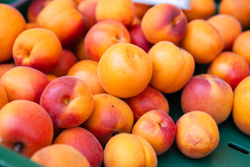 Closeup of vibrant orange ripe and fresh apricots heap displayed at the local farm market. Smooth texture of the colorful fruit skin. Healthy eating organic farming concept.
