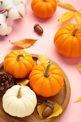 Autumn composition. Fresh orange and white pumpkin on wooden plate with autumn leaves on pink background. Top view