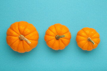 Mini orange pumpkins on blue background.