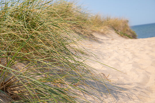Pathway to Duck Harbor Beach October 12 2024 