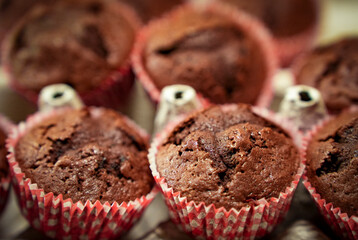 Chocolate Mint Muffins