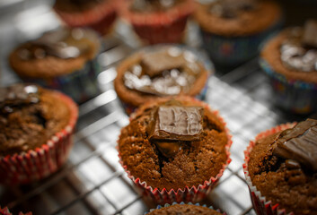 Chocolate Mint Muffins