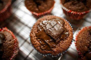 Chocolate Mint Muffins