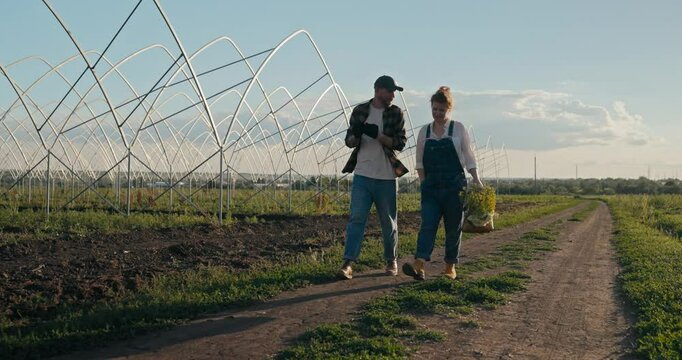 Happy guy Farmer in a plaid shirt communicates with his colleague girl in denim overalls while they walk along an earthen road on a farm in the evening