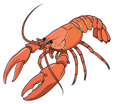 orange lobster cartoon on white background clip art preview