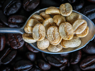 Top view green coffee bean on a stainless steel spoon on roasted coffee bean  background, Close-up, Close-up of unroasted coffee bean