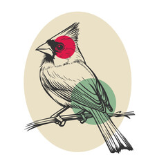 Vintage cardinal bird illustration with modern abstract elements.