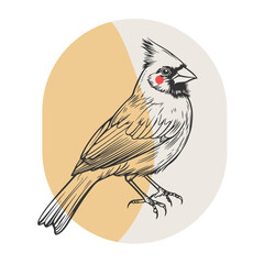 Vintage cardinal bird illustration with modern abstract elements.