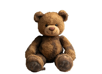 Obraz premium a brown teddy bear sitting