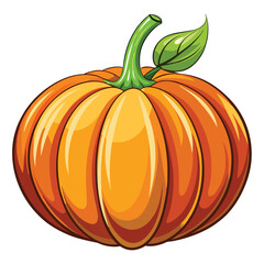 Pumpkin vegetable vector illustration
