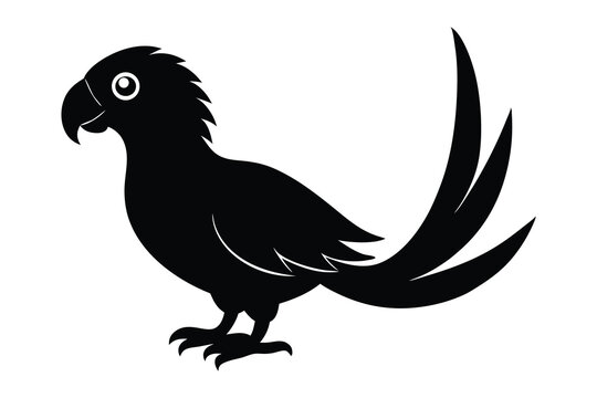 recommend clip art: Conure Silhouette, Parrot Silhouette, Bird Vector Art, Tropical Bird Clipart, Avian Illustration