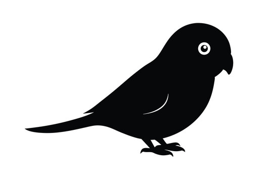 recommend clip art: Lovebird Silhouette, Bird Silhouette, Vector Lovebird Illustration, Cute Bird Clipart, Romantic Bird Design