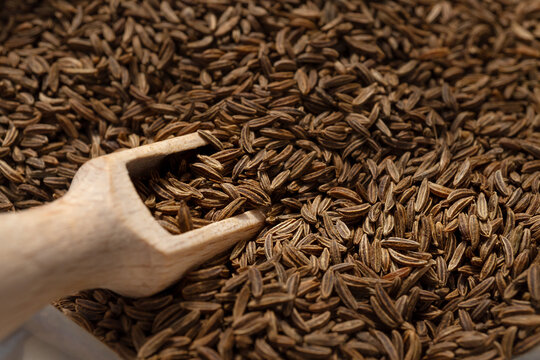 Close-up of cumin seeds with scoop