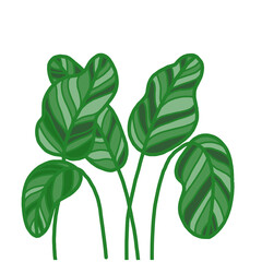 Green plants line