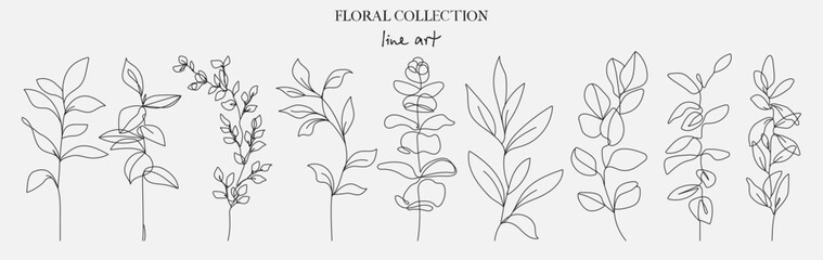 Vector Black Line Art Drawing Set Of Plants Sketch of Leaves Branch Isolated on White Background. Leaves Branches Line Art Illustration. Minimalist Botanical Set