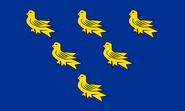 Flag of East Sussex traditional and historic county (England, United Kingdom of Great Britain and Northern Ireland, uk) Saint Richard's Flag, six gold martlets on a blue background