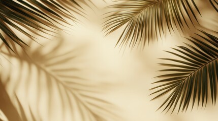 Obraz premium Beige Background with Palm Leaf Shadows for Minimalist Design and Aesthetic Projects