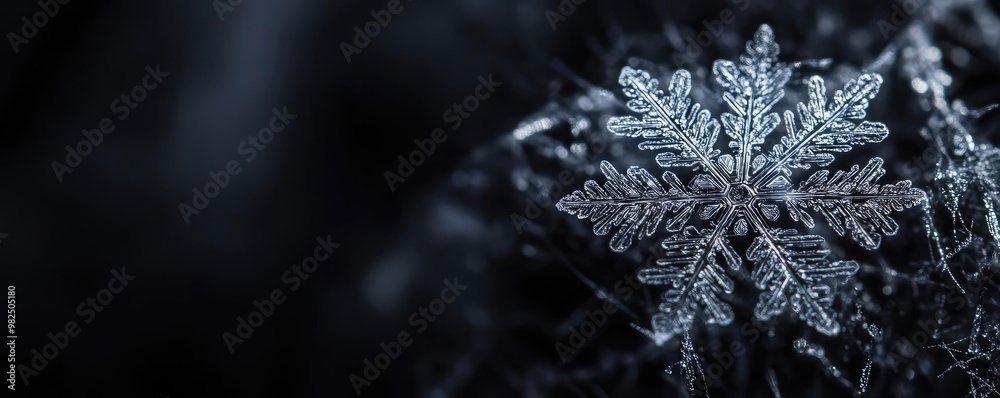 Aufkleber Intricate snowflake design against a dark backdrop, showcasing delicate patterns and frost, perfect for winter-themed projects.
