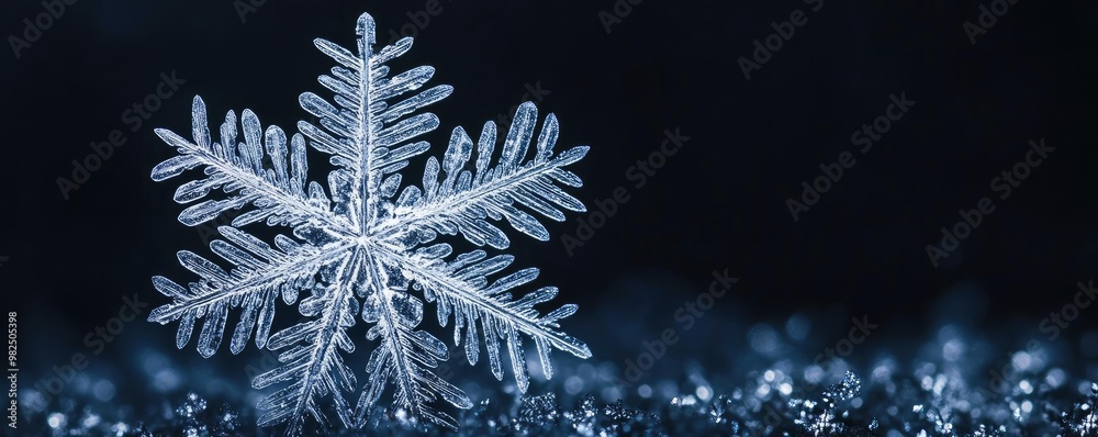 Poster A beautiful close-up of a snowflake showcasing intricate ice patterns against a dark background, evoking winter's magic.