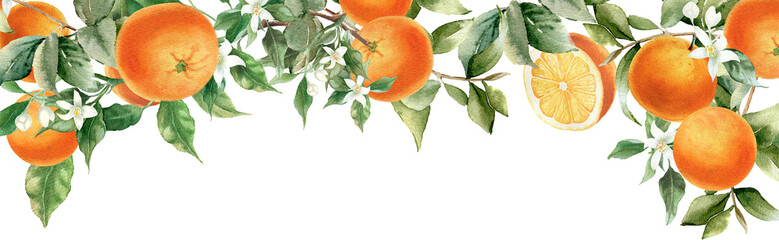 Orange fruit border. Watercolor hand painted  illustration isolated on transparent background. Blossom orange branch for labels, prints, banners, citrus wedding. Healthy food design element © Nataliya Kunitsyna