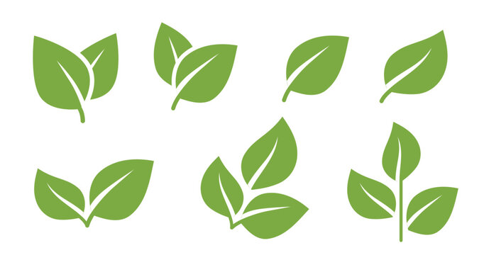 Leaf sprout icon vector set, green leaves plant eco logo symbol simple graphic illustration set, vegan fresh herb pictogram shape sign, organic natural healthy logotype image clip art