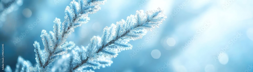 Aufkleber close-up of frost-covered pine branch glistening in soft winter light, creating a serene and tranqui