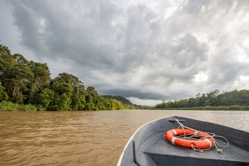 boat navigating a wide, muddy river under a cloudy sky, surrounded by lush greenery, hinting at an...