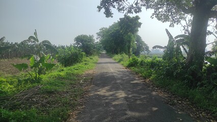 Obraz premium Nature, in the broadest sense, is the natural, physical, or material world or universe. 