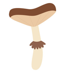 Mushroom toxic forest plant icon