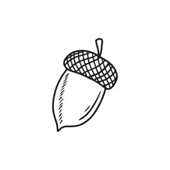 Realistic acorn drawing with cap in black isolated on white background. Hand drawn vector sketch illustration in doodle engraved vintage line art style. Autumn symbol, floral, oak tree.